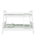 Alba Family Bunk White