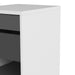 Function Plus Mobile file cabinet 2 drawers + 1 shelf